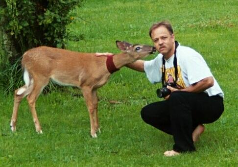 Deer investigating photographer.